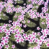 coupon de  2 m de Tissu noir frangipane forest