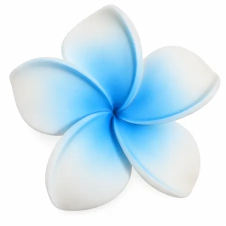 Barrette à cheveux frangipane blanche et bleu