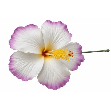 Fleur artificielle blanche et violette 9 cm – Vahiné