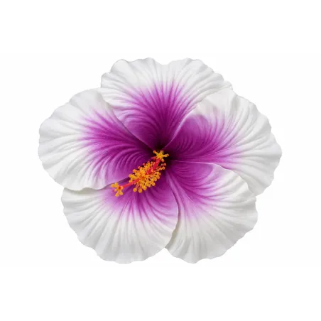 Fleur hibiscus blanche et violette 16 cm sur tige métal