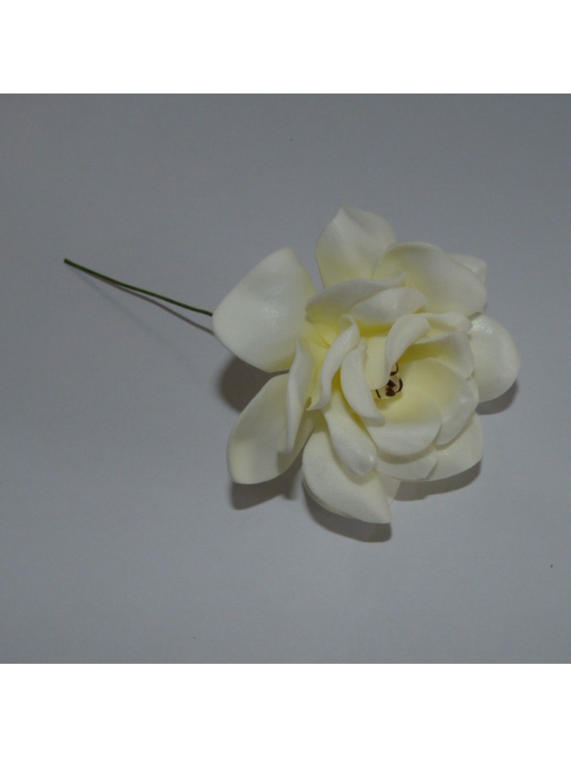 FLEURS DE GARDIENA SUR PIC A CHEVEUX
