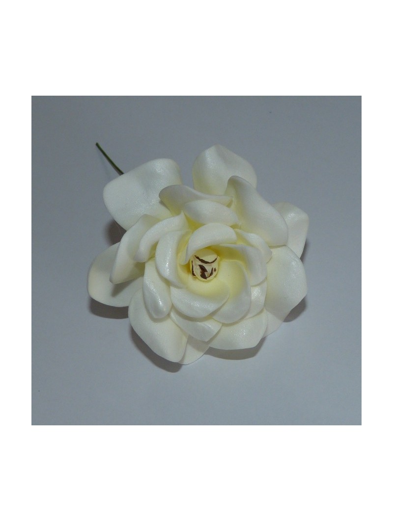 FLEURS DE GARDIENA SUR PIC A CHEVEUX