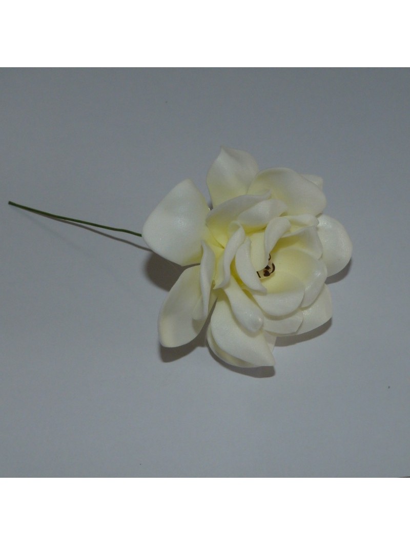 FLEURS DE GARDIENA SUR PIC A CHEVEUX