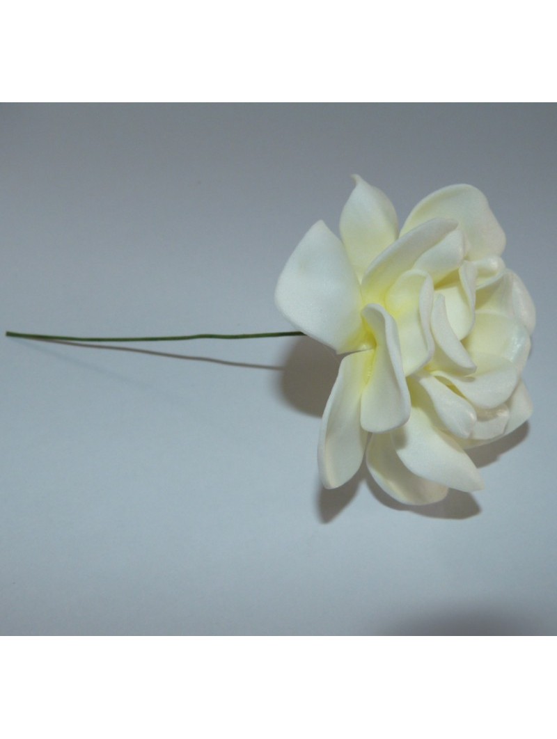 FLEURS DE GARDIENA SUR PIC A CHEVEUX