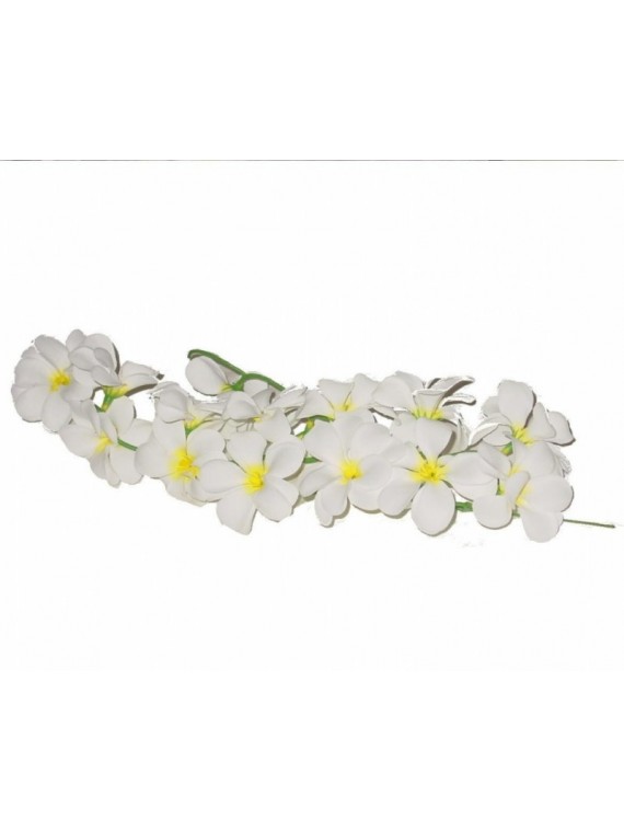 GRAPPE DE FLEURS