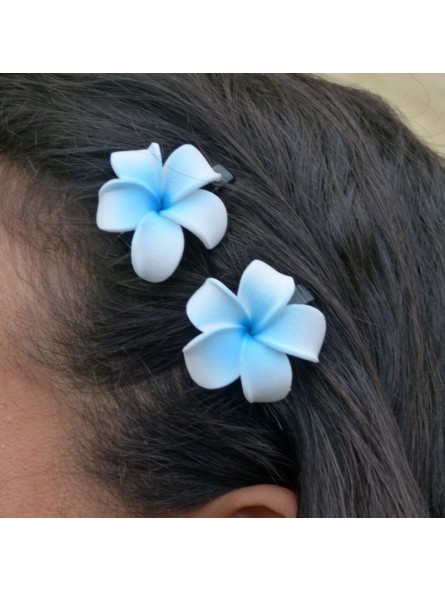 Mini barrette à cheveux frangipane