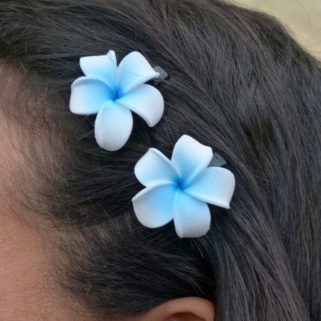 Mini barrette à cheveux frangipane