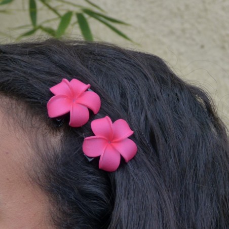 Mini barrette à cheveux frangipane