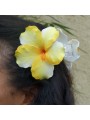 Pinces à cheveux croco hibiscus