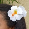Pinces à cheveux croco hibiscus