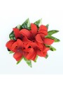 Pince bouquet frangipane