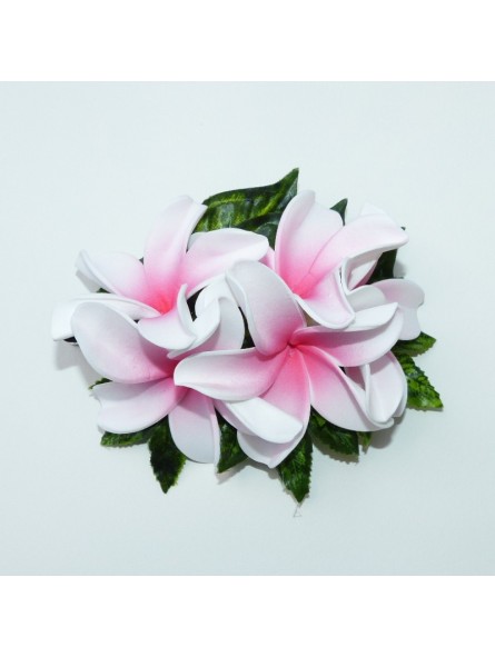 Pince bouquet frangipane
