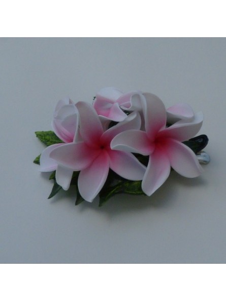 Pince bouquet frangipane