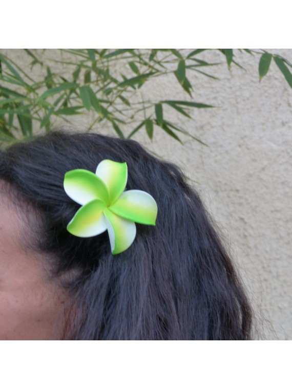 Barrette à cheveux frangipane