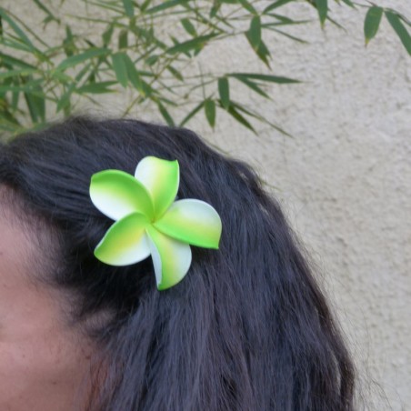 Barrette à cheveux frangipane