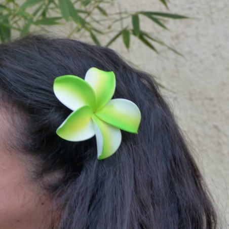 Barrette à cheveux frangipane