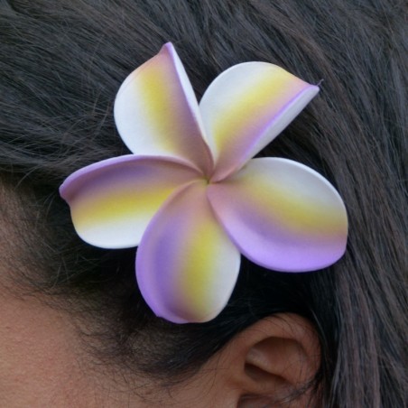 Barrette à cheveux frangipane