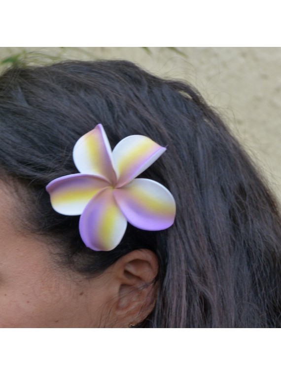 Barrette à cheveux frangipane