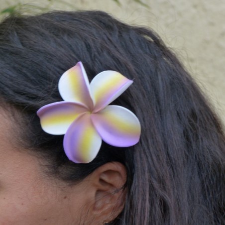 Barrette à cheveux frangipane