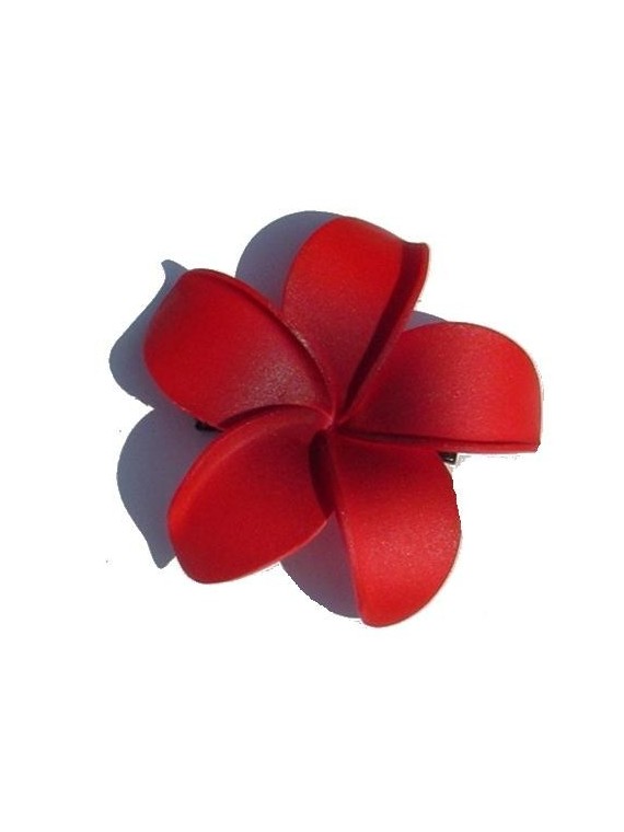 Barrette à cheveux frangipane