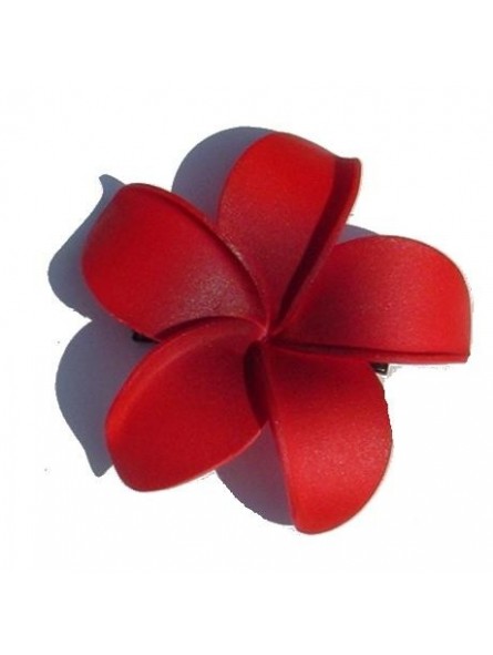 Barrette à cheveux frangipane