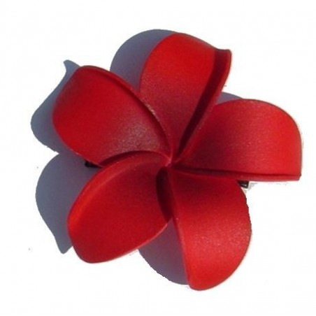 Barrette à cheveux frangipane