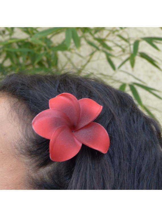 Barrette à cheveux frangipane