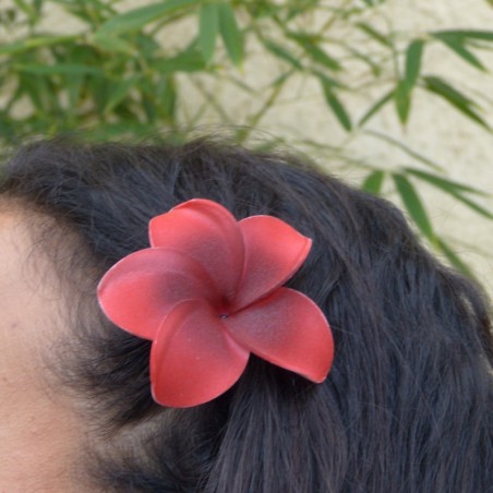 Barrette à cheveux frangipane