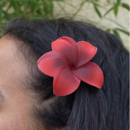 Barrette à cheveux frangipane