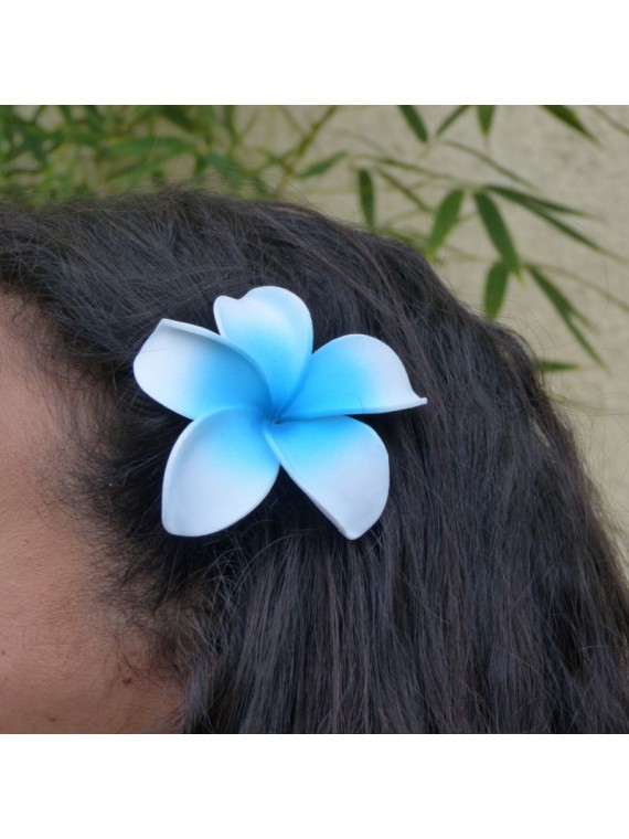 Barrette à cheveux frangipane