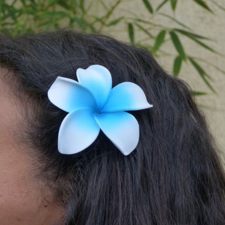 Barrette à cheveux frangipane