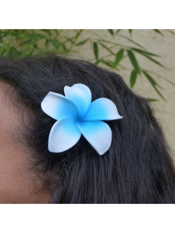 Barrette à cheveux frangipane