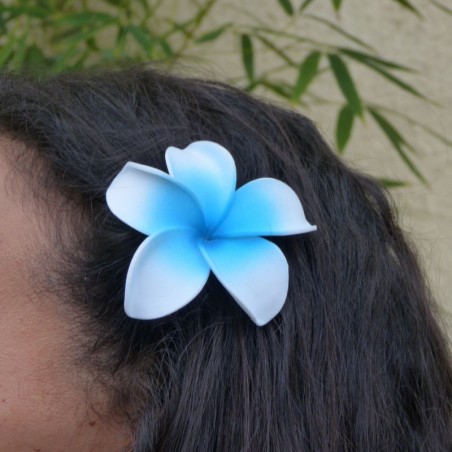 Barrette à cheveux frangipane