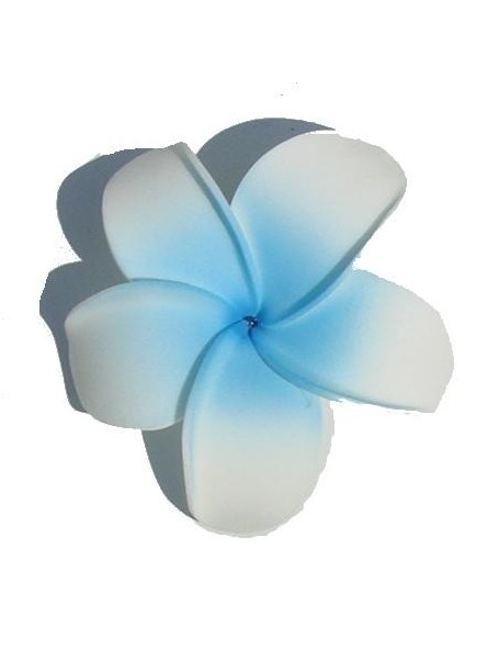 Barrette à cheveux frangipane Barrette à cheveux frangipane