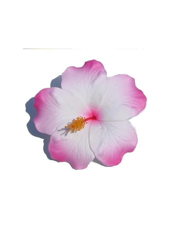 Pinces à cheveux fleurs de style Hawaiian Épingle à cheveux Barrette de mariée-5 pièces Blanc 