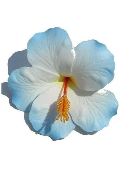 Barrette à cheveux Hibiscus Barrette à cheveux Hibiscus