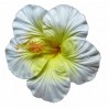 Très grosse barrette à cheveux Hibiscus