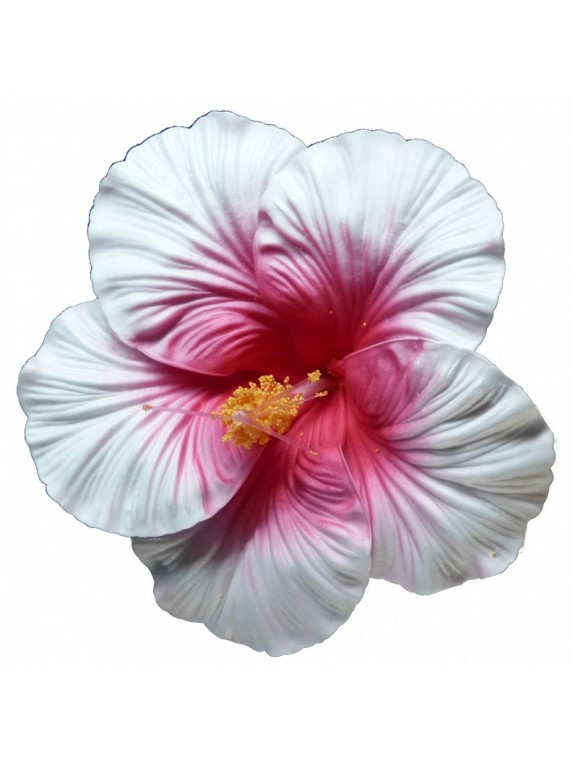 Très grosse barrette à cheveux Hibiscus