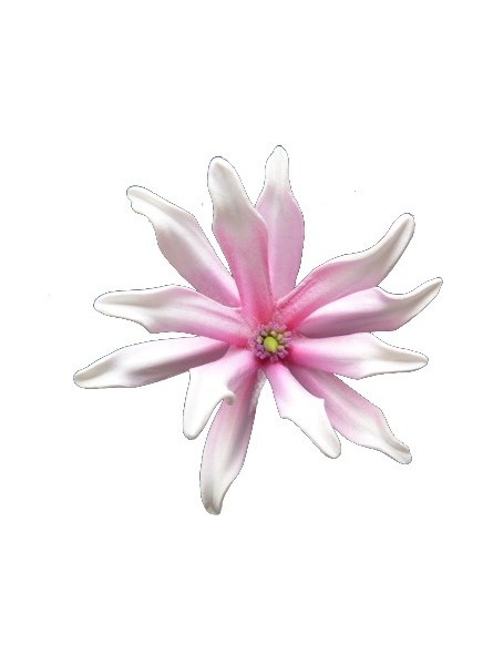 Barrette à cheveux fleurs du soleil