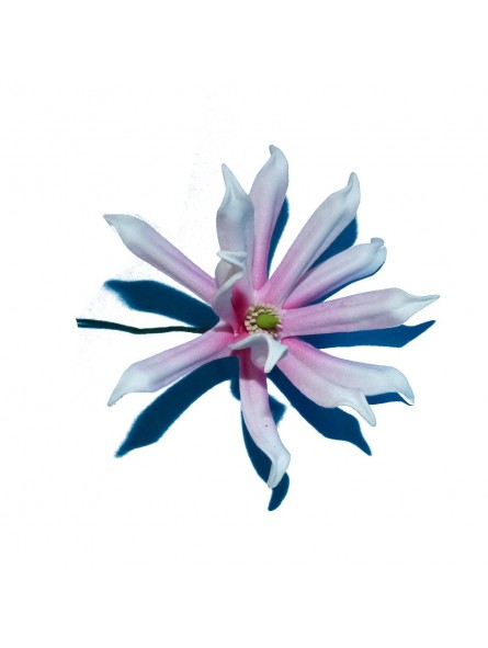 Barrette à cheveux fleurs du soleil