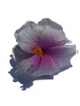 Pinces à cheveux croco hibiscus
