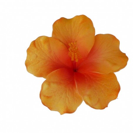 Barrette à cheveux Hibiscus
