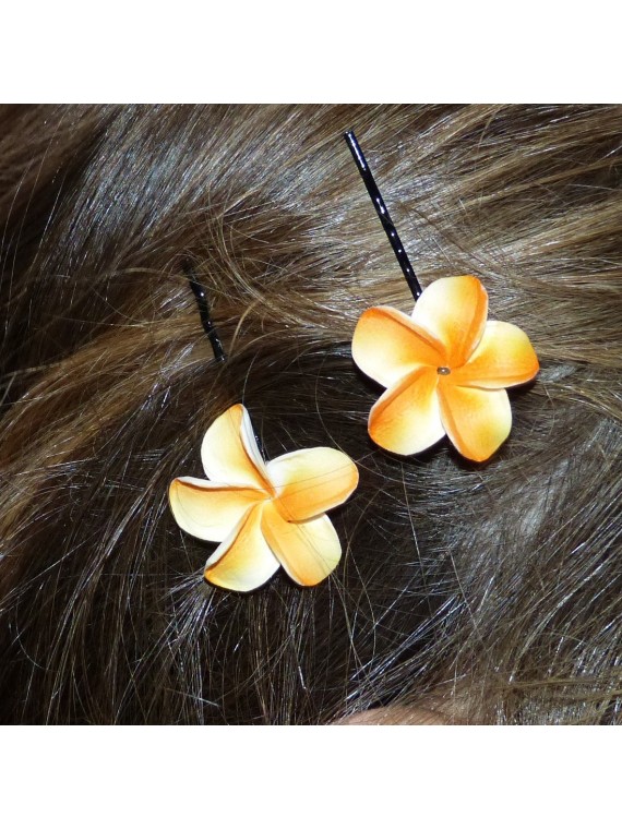 Barrette à cheveux pour enfant frangipane 