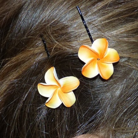 Barrette à cheveux pour enfant frangipane 