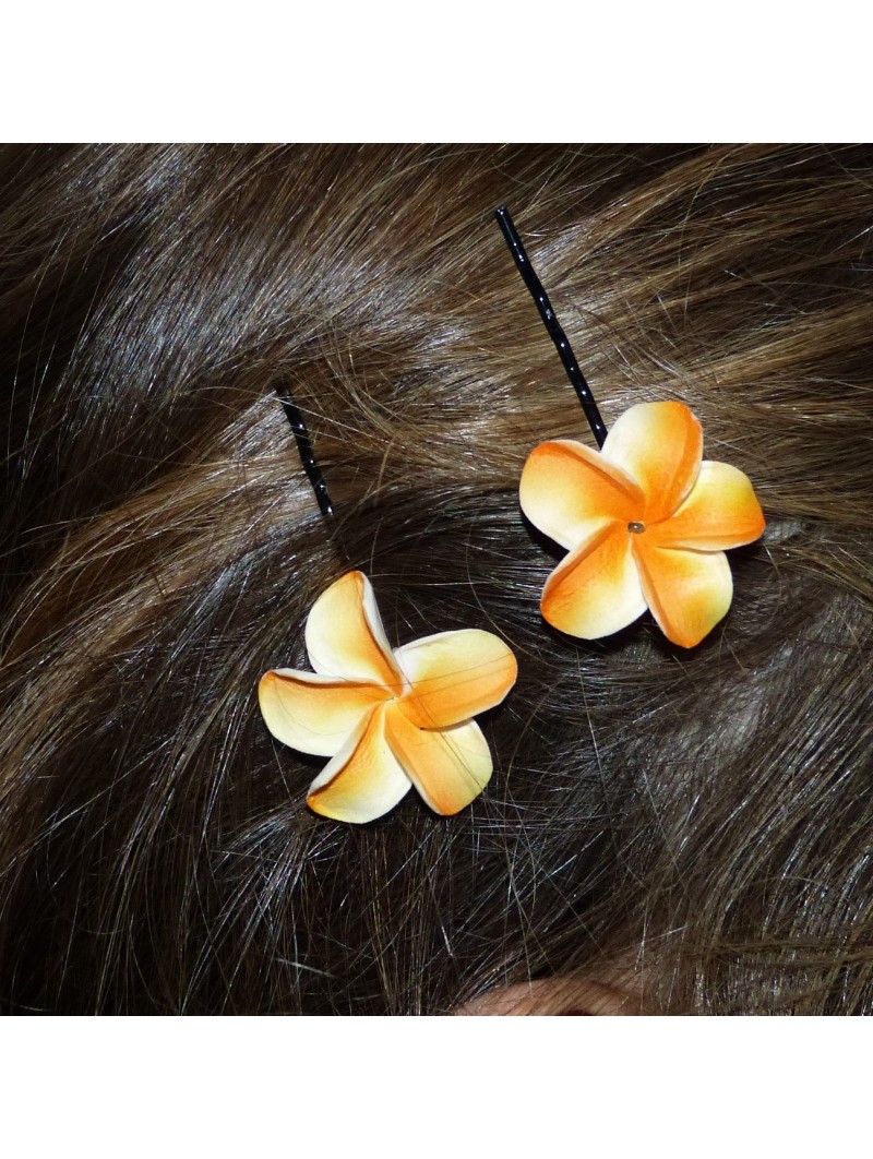 Barrette à cheveux pour enfant frangipane 