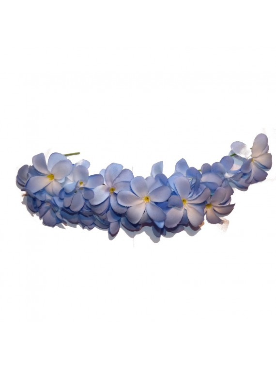 GRAPPE DE FLEURS
