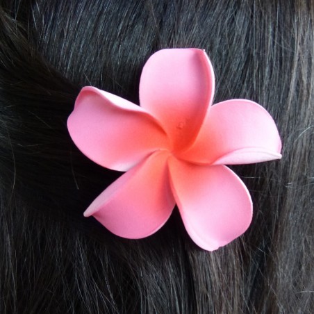 Barrette à cheveux frangipane