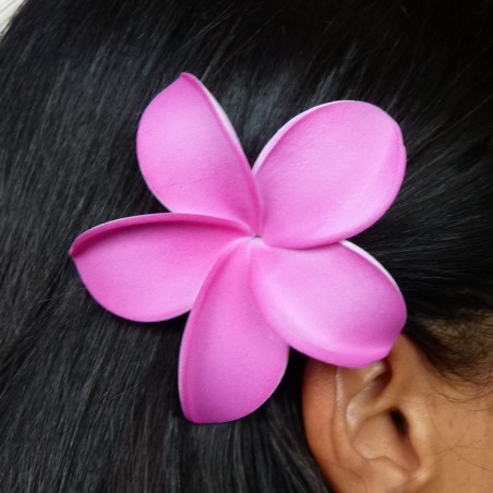 Barrette à cheveux frangipane