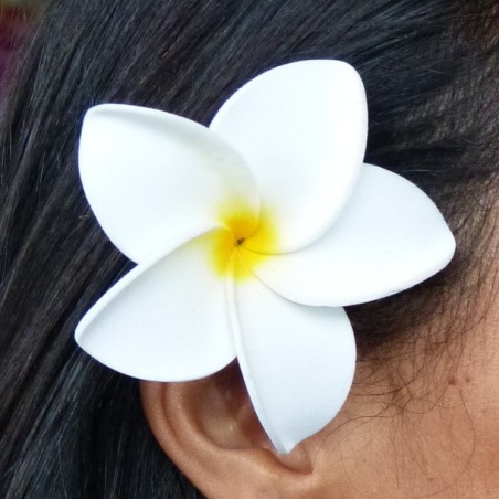 Barrette à cheveux frangipane