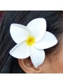 Barrette à cheveux frangipane